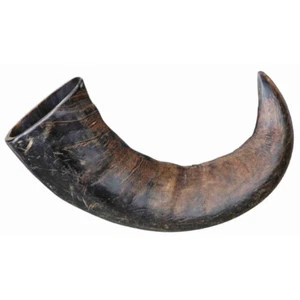 TRIXIE LARGE BUFFALO HORN GENUINE NATURAL TOUGH DOG CHEW TREAT PROTEIN 27743 NEW - Picture 1 of 1