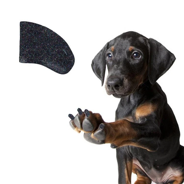 GALAXY BLACK GLITTER 60 PIECE Soft Nail Caps for DOG Claws ~ PRETTY CLAWS ~ Paws