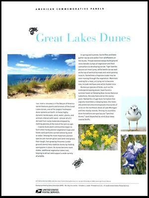 2008 Great Lakes Dunes coastal sand CP825 commemorative panel 825 MNH Sc 4352 - Image 1 of 2
