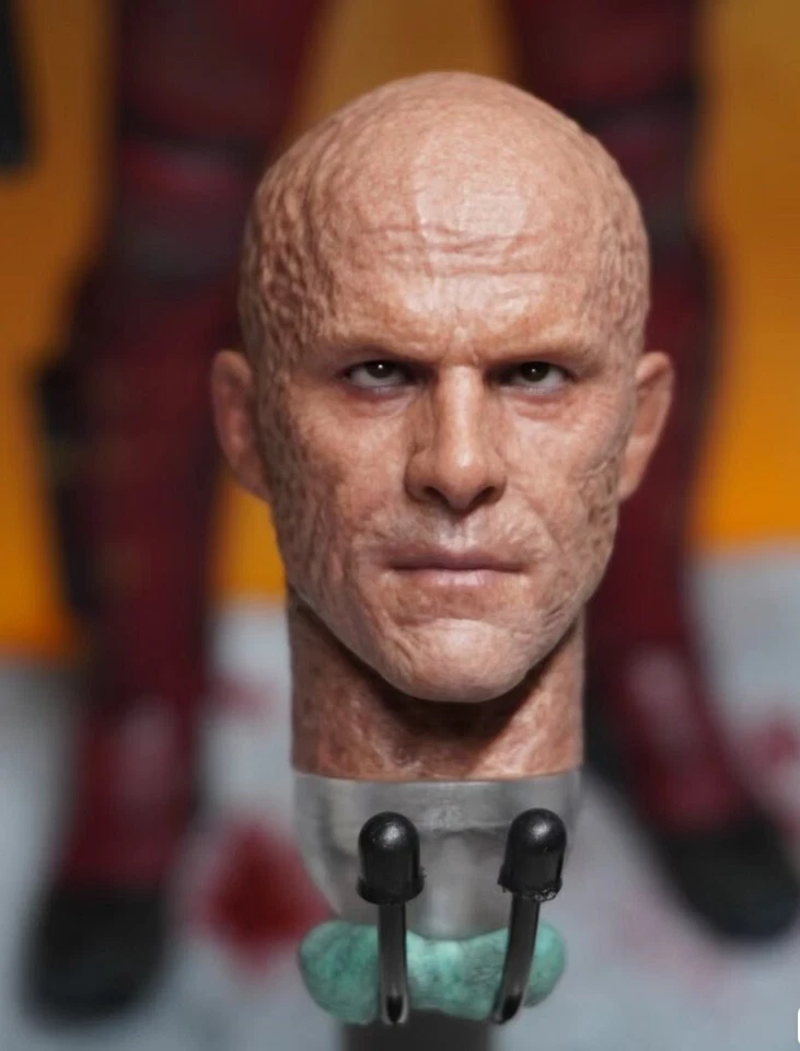 Head Sculpt Figure Hot Toys Deadpool Wolverine 1/6 HT MMS782 Battling Version - Image 1 of 1