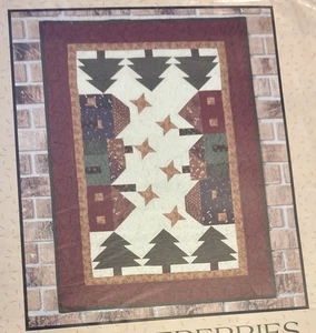 Vtg Rare Thimbleberries TWILIGHT VILLAGE Quilt 2000 Pattern LJ 92224 - Picture 1 of 3