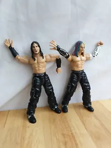 Figura de acción Jakks 1999 Matt Jeff Hardy Boyz WWE Wrestling - Imagen 1 de 5