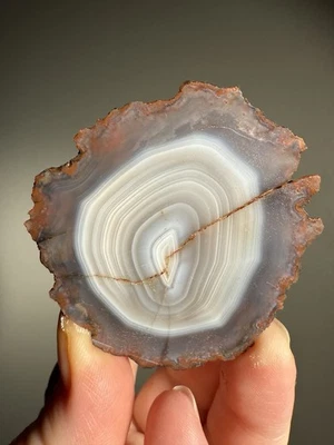 White + Blue Moroccan Agate Atlas Mountains • Unpolished Lapidary Slab Half - Image 1 of 4