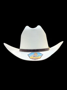 Stetson® 1000X Evilla De Oro Natural 4" Brim Profile 48 - Picture 1 of 8