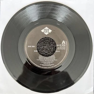 R. Kelly – Summer Bunnies 4:14 7'' Vinyl JUKEBOX 1994 CLEANED/TESTED VG+ VIDEO - Imagen 1 de 4