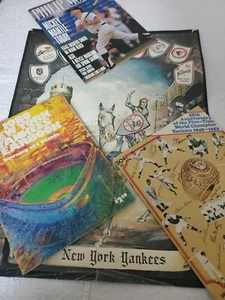 Lote de revista póster anuario de los Yankees de Nueva York MLB de colección 1978 béisbol - Imagen 1 de 12