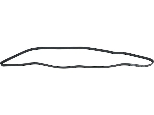 Cinturón multi costilla API 22NJ78X compatible con Pontiac Grand Prix 1997, 1999-2002 3,8 L V6 Foto 1 de 1