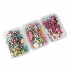 3 Boxes Dried Flower Mixed Craft DIY Making Handmade Aromatherapy Wax Tablets