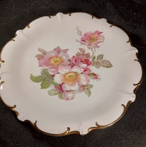 Schumann Arzberg Germany Wildrose piatto 12" - Foto 1 di 5