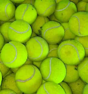 15 or 30 Used Tennis Balls For Dogs - Great Dog Toys ! - Picture 1 of 1