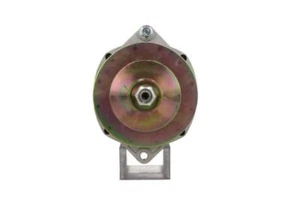 Wilson Automobile Alternator 24 Volt 4940 Gram For Caterpillar 40A 90013128 - Picture 1 of 10
