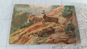 Zagreb cabra montaña caza postal 8401 - Imagen 1 de 2