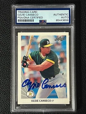 Ozzie Canseco Oakland A's 1990 Leaf #516 Signed Autograph PSA DNA *56 - Image 1 of 2