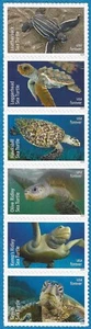 USA Sc. 5865-70 (F) Sea Turtles 2024 MNH strip of 6* - Picture 1 of 1