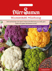 Cauliflower Mixture White, Purple, Yellow And Green Seeds From Dürr Samen