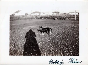 "Bobby's Home" Real Photograph 4x3 inches, Black & White Vintage, Dog/Pet/Puppy - Picture 1 of 2