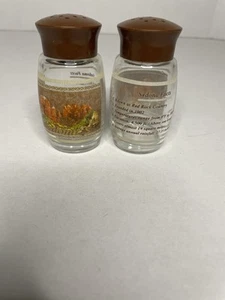 Sedona Arizona Facts Salt And Pepper Shakers Featuring mountains and State Facts - Picture 1 of 7