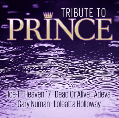 Various Artists Tribute to Prince (CD) Album (US IMPORT) - Bild 1 von 1