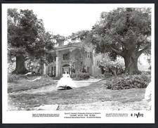 VIVIEN LEIGH ACTRESS IN "GONE WITH THE WIND" 1968 ORIG PHOTO