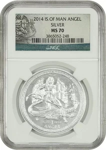 2014 Isle of Man NGC MS70 Silver Angel Coin 3865052-248 - Picture 1 of 2