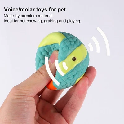  Molar Toy Dog Chewing Toys Volleyball Educational Cleaning Plaything Pet - Image 1 of 4