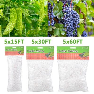Garden Plant Climbing Net Trellis Netting Mesh Support Fruits Vine Veggie Bean - Image 1 of 4