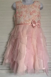 Jona Michelle Layered Tulle & Embroidery Pink Dress, 6 or 8 Flower Girl Formal - Picture 1 of 7
