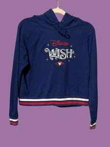 Disney Wish Hoodie from Disney cruise Line. Size Small. - Picture 1 of 6