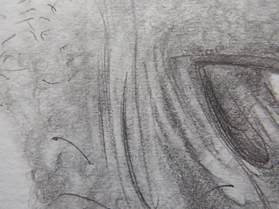 Hand Drawn Anatomical Illustration Tonal Pencil Drawing Penis NSFW Nude Art - Image 1 of 4