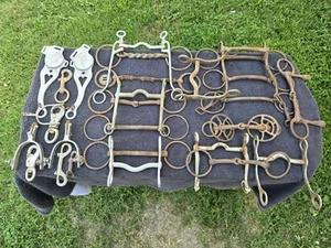 Antique Horse Bit Bridle Snaffle Spur Swivel Snap Hook Lot Old Equestrian Tack - Picture 1 of 10