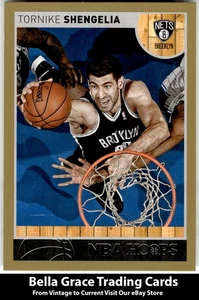 2013-14 Hoops #45 Tornike Shengelia Brooklyn Nets Gold NBA Basketball - Picture 1 of 2