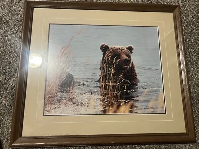 Thomas Mangelsen Limited Edition  Searching The Shallows 16x20 Framed - Image 1 of 4