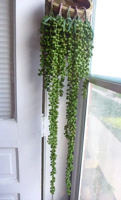 Juego de 5 piezas colgantes de perlas de plástico para decoración de paredes para el hogar Foto 1 de 4