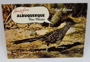 Desert Road Runner Howdy from Albuquerque New Mexico Postcard  - Bild 1 von 2