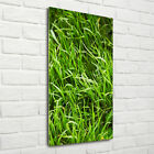 Wand-Bild Kunstdruck aus Acryl-Glas Hochformat 70x140 Gras