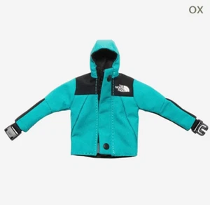 The North Face Mini Mountain Jacket 2024 Japan Limited Cute Keychain Gift Rare - Picture 1 of 26