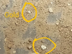 8 Oz. New Mexico 24k Solid Gold Untampered Paydirt - Panning Nuggets Pay Dirt - Bild 1 von 24