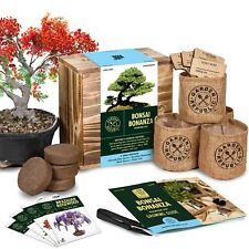 Bonsai Tree Seed Starter Kit - Mini Bonsai Plant Growing Kit 4 Types of Seeds.