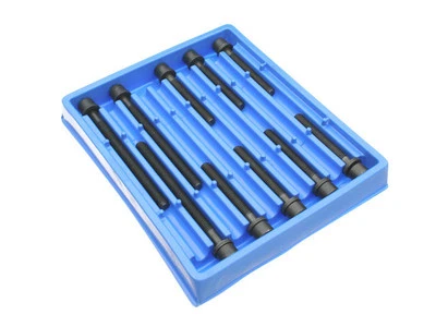 For 1999-2002 Volkswagen Jetta Head Bolt Set Victor Reinz 16431WPCP 2000 2001 A4 - Изображение 1 из 2