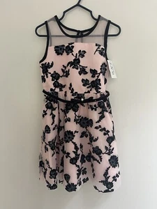 TCP Kids Girls Glitter Floral Tulle Lined Sleeveless Fit & Flare Dress Pink Sz 4 - Picture 1 of 7