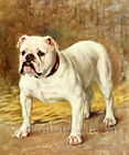 Famous Bulldog ~ Frances Fairman Dogs, Puppies ~ Counted Cross Stitch Pattern