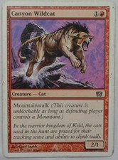 MAGIC THE GATHERING MTG 2003 8th EDITION RED CANYON WILDCAT CREATURE ENGL. CARD