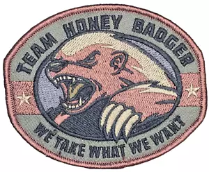 MSM TEAM HONEY BADGER MILSPEC SCIMMIA TATTICA FORESTA GANCIO TOPPA MORALE - Foto 1 di 2