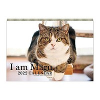 Popular Japanese Manga Kotikame Reiko Akimoto Sexy Figure From Japan 1729 Ebay