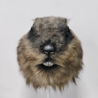 Animal Groundhog​​ Halloween Latex Mask Cosplay Fancy Dress up Props - Image 1 of 4