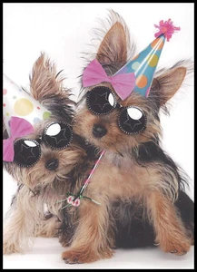 Greeting Card - Dog Puppy Terrier Yorkshire - Birthday - 1095 - Picture 1 of 2