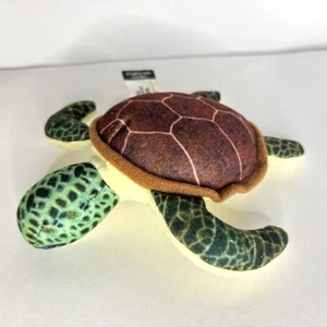 McDonald's National Geographic Kids GREEN SEA TURTLE 5" Plush STUFFED ANIMAL Toy - Picture 1 of 7
