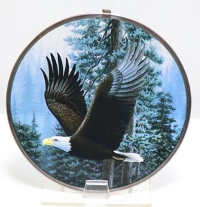 Vintage stained glass Bald Eagle, Toronto Stained Glass Company, Canada - Picture 1 of 8