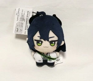 Twisted Wonderland Malleus Golaconia Plush Toy Chibigurumi Dress up Birthday - Bild 1 von 2