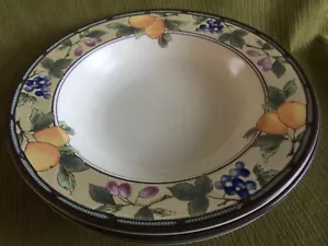 Mikasa Zuppiera Piatta "Raccolta Giardino" (Set di 4) Ecc. Condizioni 9-3/8" - Foto 1 di 4